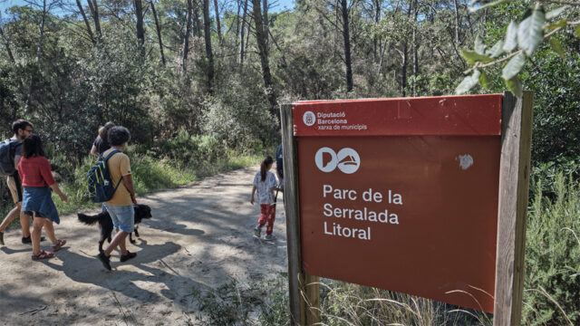 noticia_1782220521.jpg