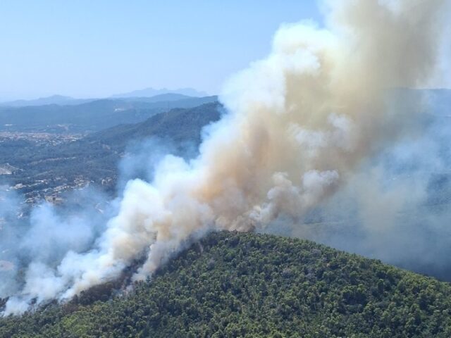 noticia_1783355487.jpg