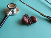 L’hospital universitari la llum reforça la coordinació entre cardiologia i nefrologia per a la malaltia renal crònica