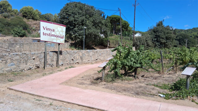 noticia_1789564550.jpg