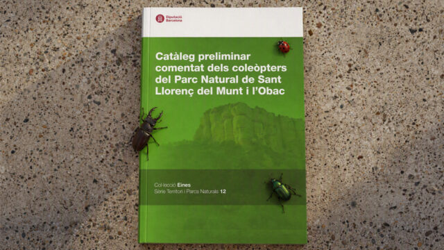 noticia_1793110467.jpg